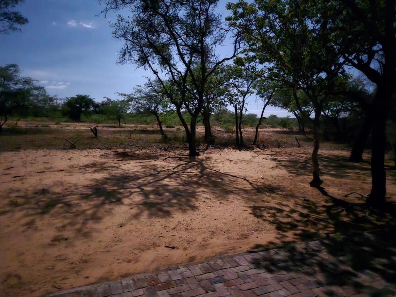 Kigeni Safari Lodge & Spa Vaalwater Bagian luar foto