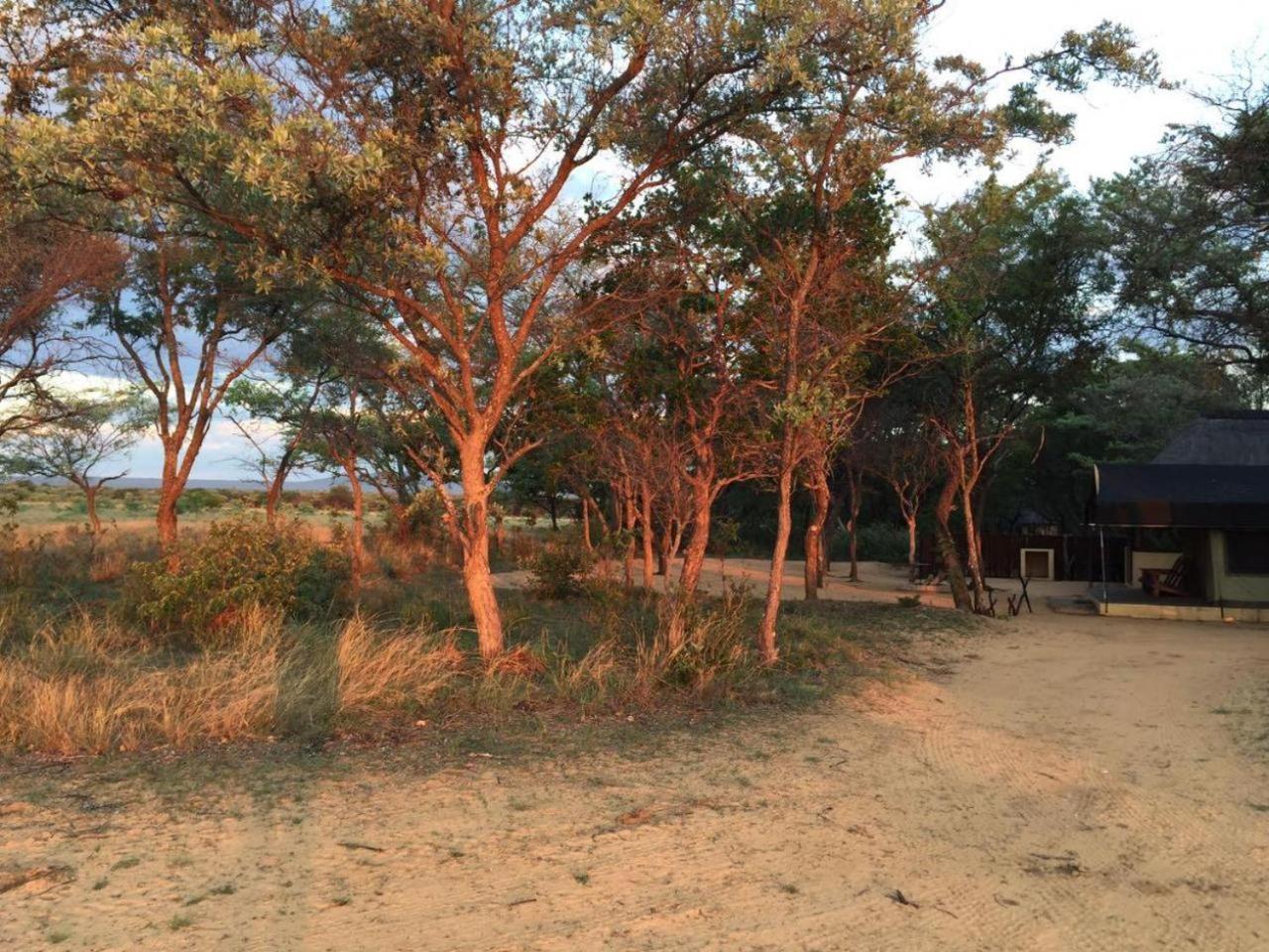 Kigeni Safari Lodge & Spa Vaalwater Bagian luar foto